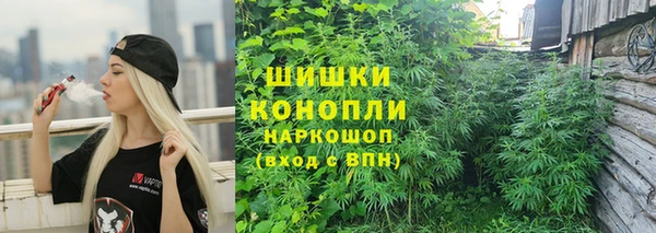 a pvp Аркадак