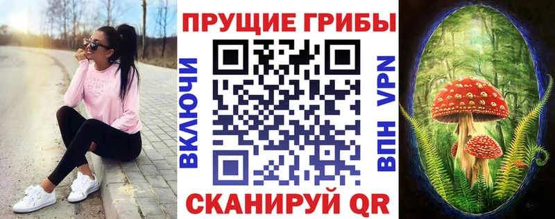 Купить где  Новоуральск  Псилоцибиновые грибы мицелий 